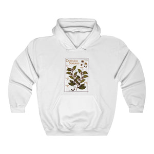 Camellia Sinensis Unisex Hooded Sweatshirt
