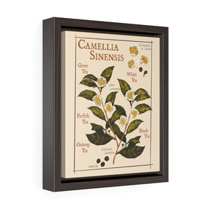 Camellia Sinensis Framed Premium Canvas
