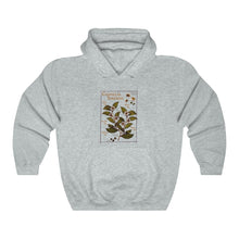 Load image into Gallery viewer, Camellia Sinensis Unisex Hooded Sweatshirt
